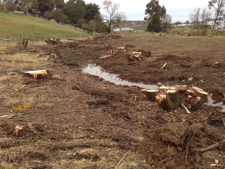 Crookwell trench and stumps 2.jpg