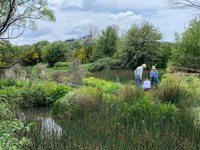 Non-destructive revegetation project