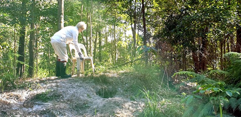 Forest photo marking possible fox den.jpg