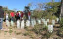 Landcare Australia Corporate Volunteer Group at Middle Head, Sydney Harbour NP.