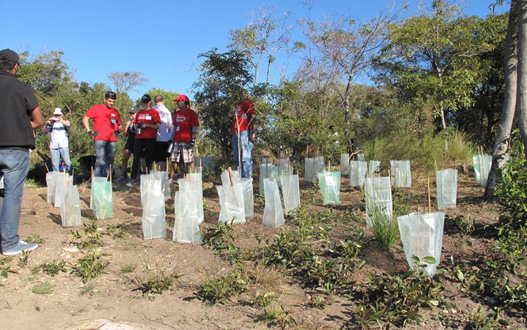 Landcare Australia Corporate Volunteer Group at Middle Head, Sydney Harbour NP.