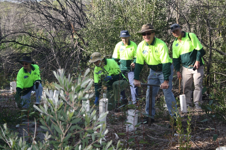 Friends Of Belmont Wetlands.png