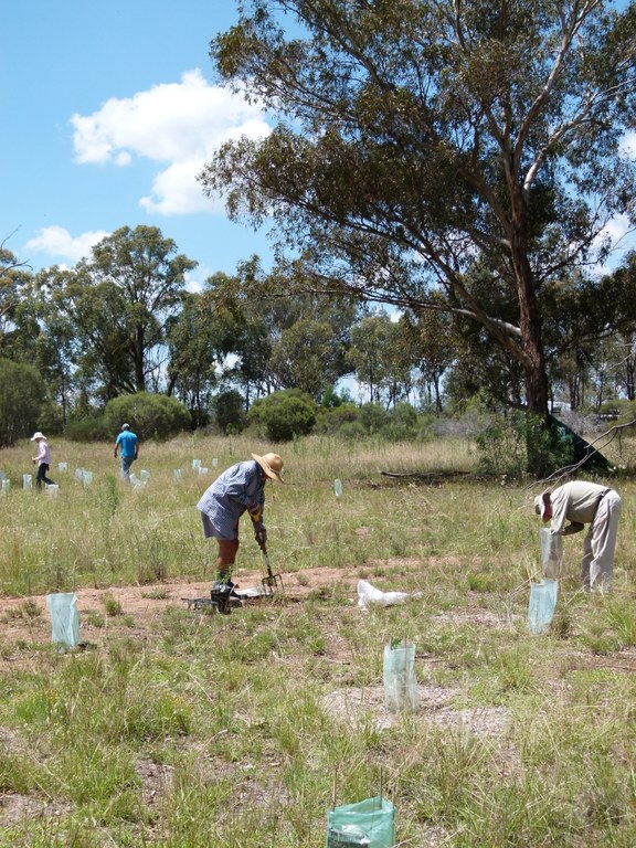 Friends of Burrendong Arboretum : Active Members Needed