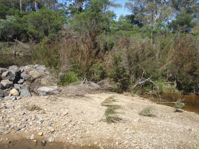 River in Half Moon district