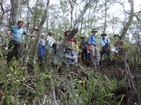 Plant Identification Walk