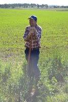 Green Army Restoration Success at Putta Bucca Wetlands 