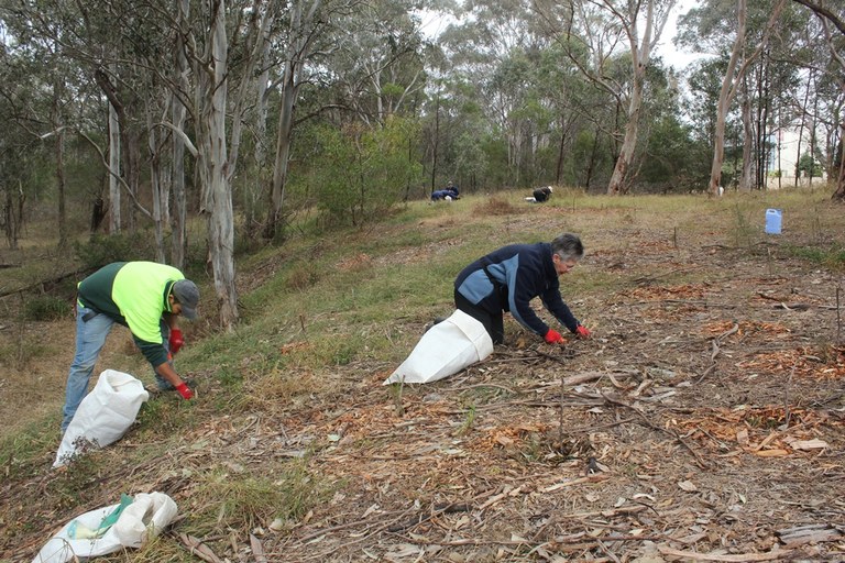 Friends of Duck River Bushland 1.JPG