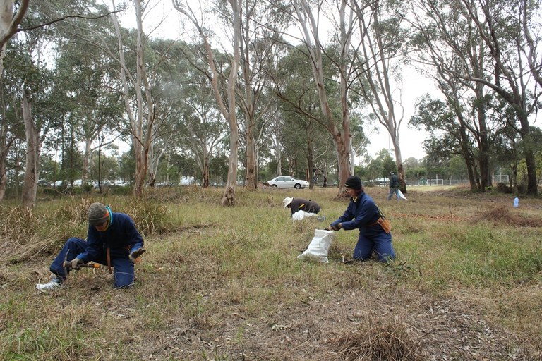 Friends of Duck River Bushland 2.JPG