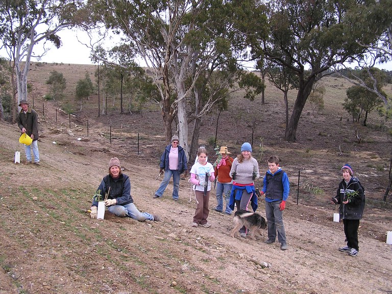 Birchmans Grove  planting, 2008