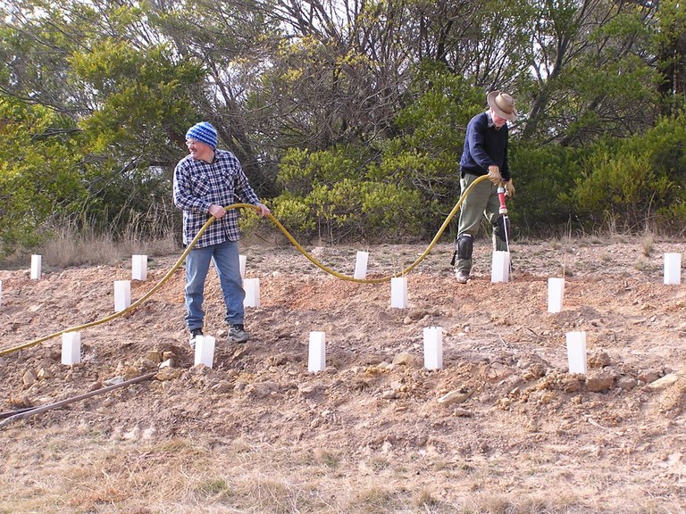 Wamboin hall planting, July 2011