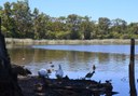 (1)Glenbrook_Lagoon_033.jpg