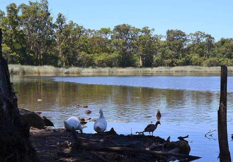 (1)Glenbrook_Lagoon_033.jpg