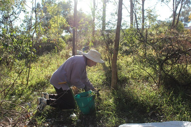 Goliath Avenue Bushcare.JPG