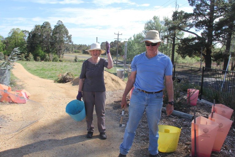 southern tablelands plant.jpg