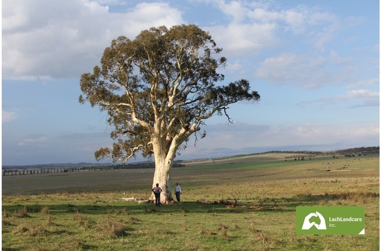 July e-news  Goulburn/Mulwaree Landcare