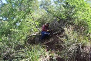 Volunteer Week - Wombeyan Weed Whackers