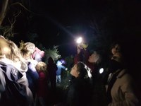 Wombeyan BioBlitz - It’s time to nurture your inner wildlife scientist