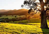 Goulburn Mulwaree Landcare Landscapes