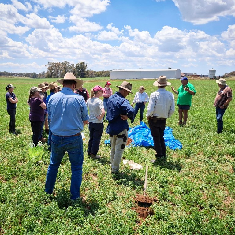 Healthy Soils field day