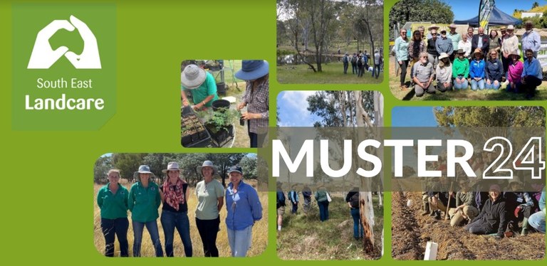 Landcare Muster