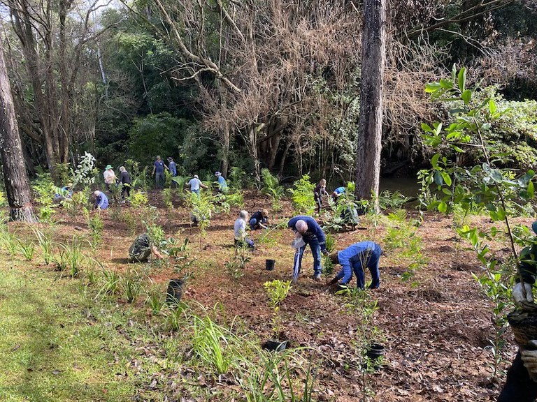 Planting with Goonellabah-Tucki Landcare