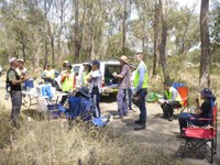 Cumberland Plain Landcare Program