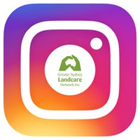 GSLN is now on Instagram!