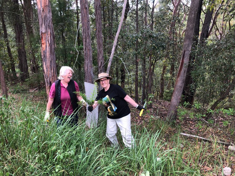 Platypus Landcare in the Hills