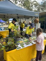 Blue Mountains Shale Cap Forest (BMSCF) Grant Variation