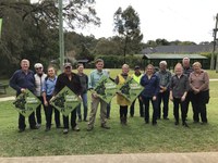 Creating Koala Corridors, Kurrajong