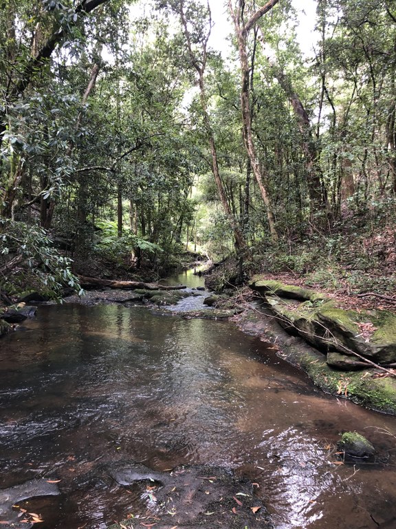 Platypus Landcare in the Hills - Riverbank Restoration event