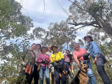 Platypus Landcare in the Hills - Working Bee