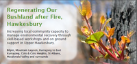 Regenerating Our Bushland after Fire, Upper Hawkesbury