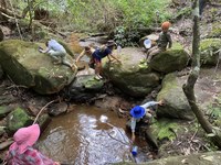 Wentwest - Connecting Outdoors (Hills Shire) and Together in Nature (Blacktown) Project