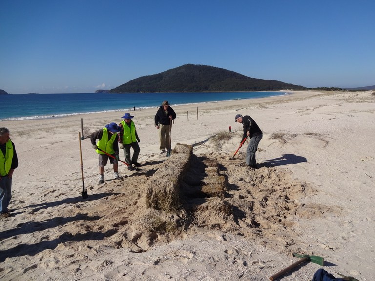 Dune stabilisation with hay bales