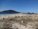 Hundreds of Natives Planted on Hawks Nest Dunes