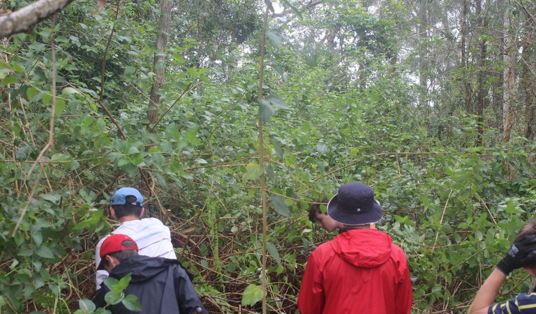 Hawks Nest bushland breathes a sigh of relief