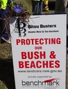 Local bitou bush a growing menace