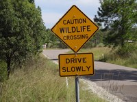 New Sign to Save Lives