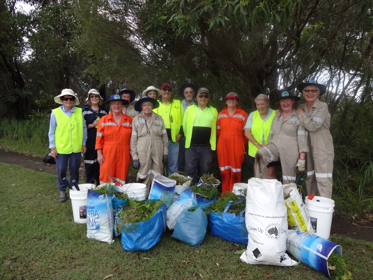 Volunteers confronted by thick weeds