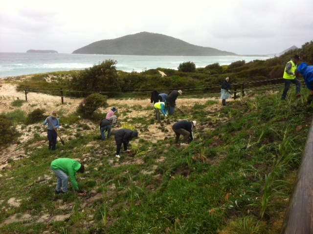 Wild weather welcomes volunteers