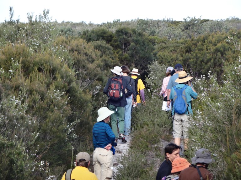 Wildflowers welcome walkers to Spring on the Myall