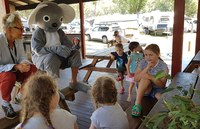 Will future generations see koalas in the wild