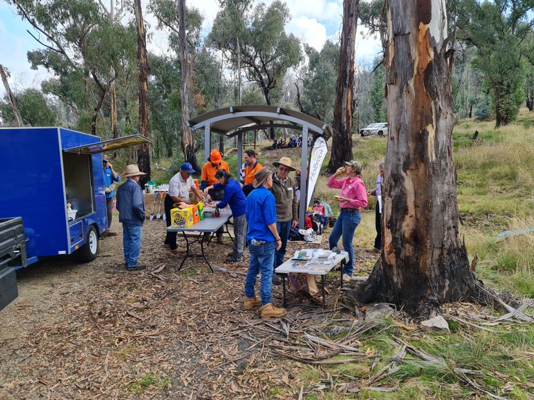 Mountain Landcare