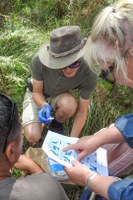 Murray Local Land Services - Asset Awareness Raising Project- Khancoban Landcare Group