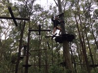 Tree Tops Adventure at Blue Gum Hills Regional Park