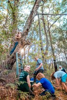 Squirrel Glider Surveying and Spotlighting at Coal Point