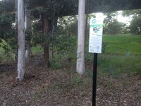 Tarban Creek Bridge Bushcare