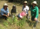 kangarooby-kelsey-tracee-ruth-and-emma-with-smooth-darling-pea-plant.jpg