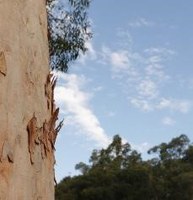Biodiversity Conservation Info Session